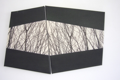 Gudrun Klebeck, View from the Dark I, 2012