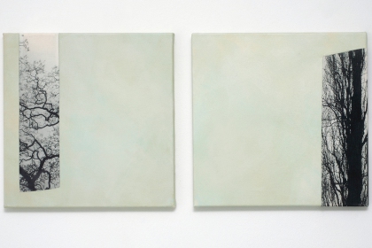 Gudrun Klebeck, Tree Aspects I, II, 2011