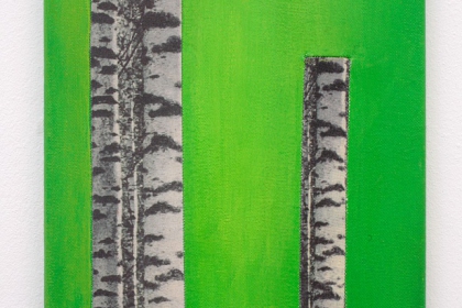 Gudrun Klebeck, Birch Trees VIII, 2011