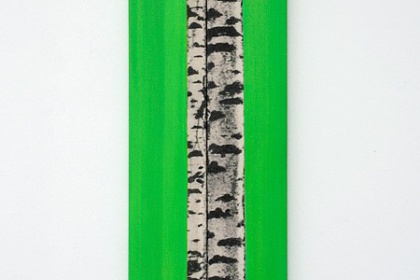 Gudrun Klebeck, Birch Trees, 2012