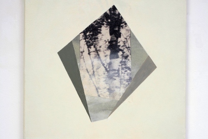 Gudrun Klebeck, Birch Trees Bright I, 2013