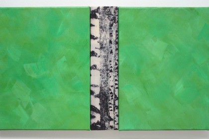 Gudrun Klebeck, Birken II, 2010