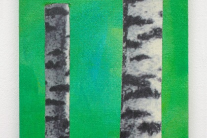 Gudrun Klebeck, Birken X, 2011