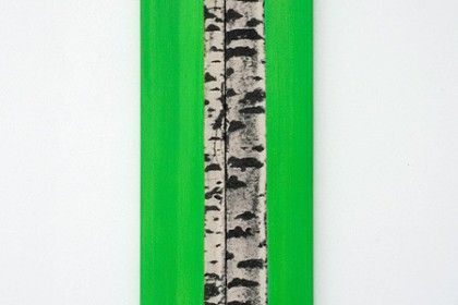 Gudrun Klebeck, Birken längs, 2012