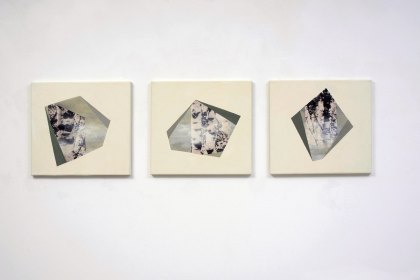 Gudrun Klebeck, Birken hell I - III, 2013