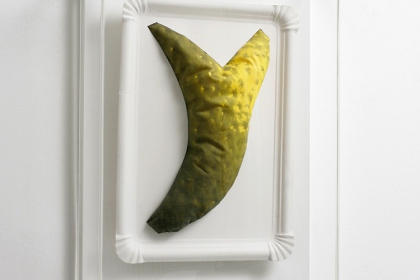 Gudrun Klebeck, Y-Chromosom, 2009
